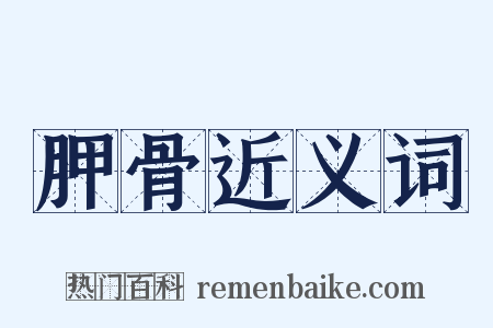 胛骨近义词是什么意思的图片